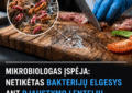 mikrobiologas ispeja netiketas bakteriju elgesys ant pjaustymo lenteliu sukelia pavoju maisto saugai