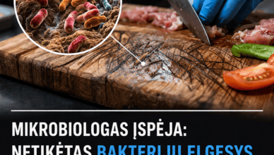 mikrobiologas ispeja netiketas bakteriju elgesys ant pjaustymo lenteliu sukelia pavoju maisto saugai