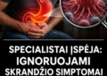 specialistai ispeja ignoruojami skrandzio simptomai didina rizika susirgti skrandzio veziu