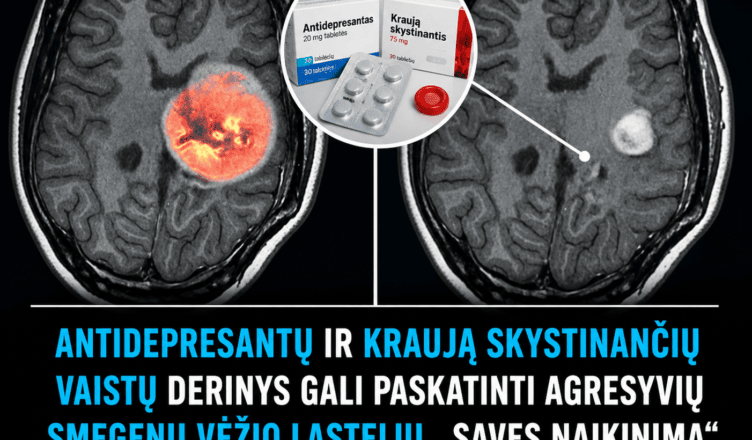 autofagija