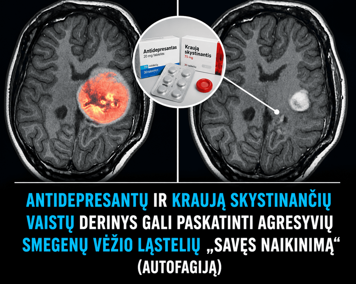 autofagija